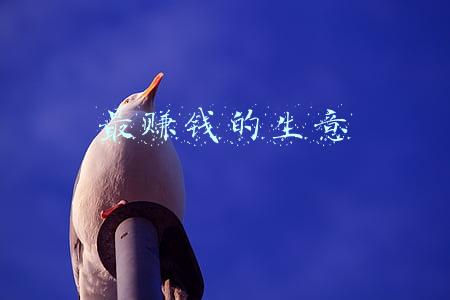 最赚钱的生意