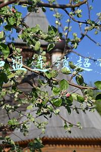 加盟连锁超市