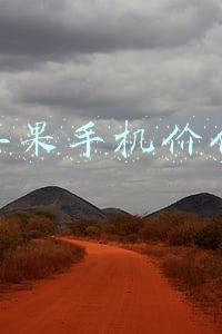 苹果手机价位