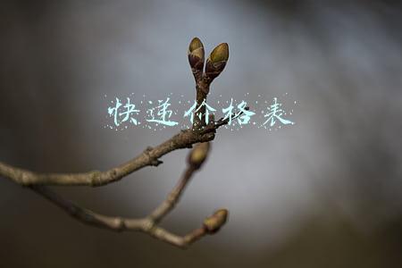 快递价格表