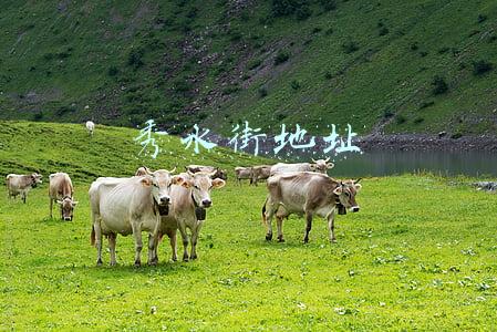秀水街地址