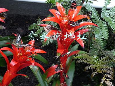 北京秀水街地址(北京秀水街：中国特色产品受冬奥会外宾欢迎)