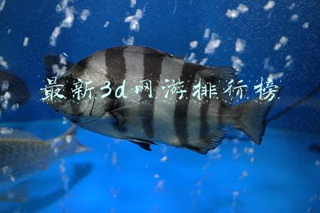 最新3d网游排行榜