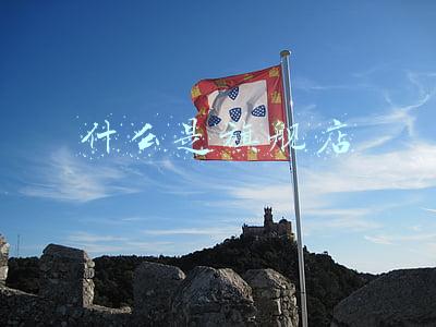 什么是旗舰店