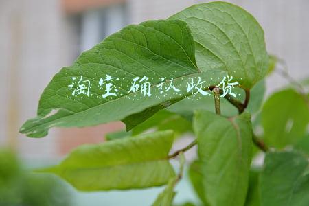 淘宝确认收货