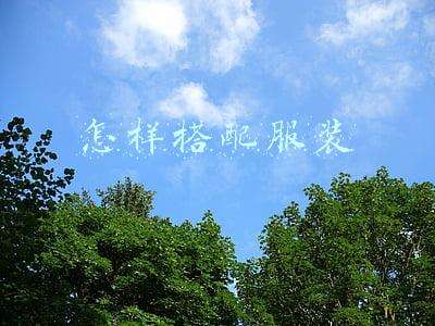 怎样搭配服装