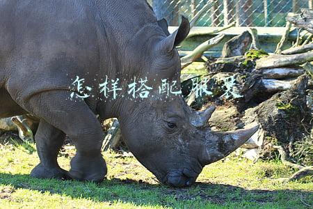 怎样搭配服装