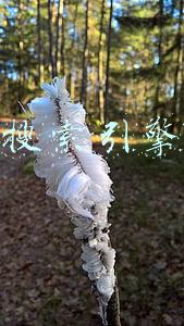 淘宝搜索引擎优化