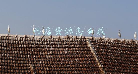 网店货源怎么找