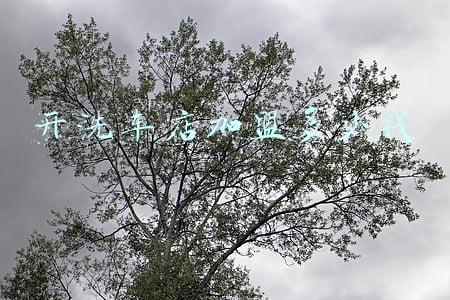 洗车加盟费；最近开一个洗车店加盟大概要多少钱