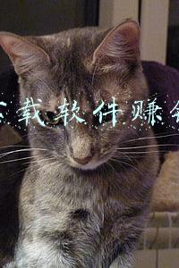 下载软件赚钱