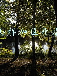 怎样加盟开店