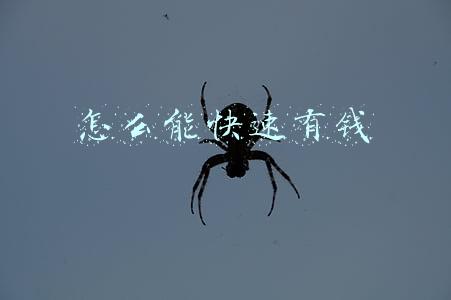 怎么能快速有钱
