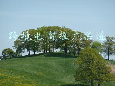 跨境电商推广渠道