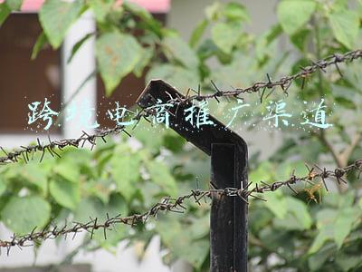 跨境电商推广渠道