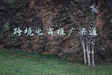 跨境电商推广渠道