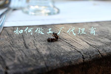 如何做工厂代理商