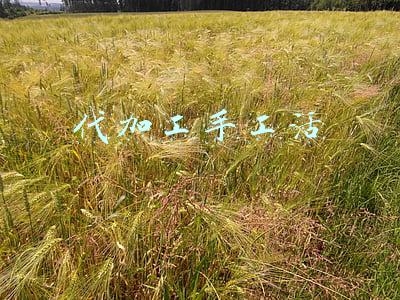 代加工手工活