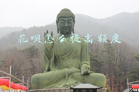 花呗怎么提高额度到3000(花呗额度3千提到1万8，我用了这些方法)