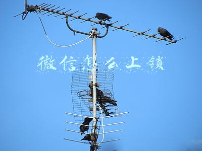 微信怎么上锁