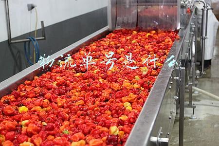 物流单号是什么