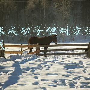 转账成功了但对方没收到钱