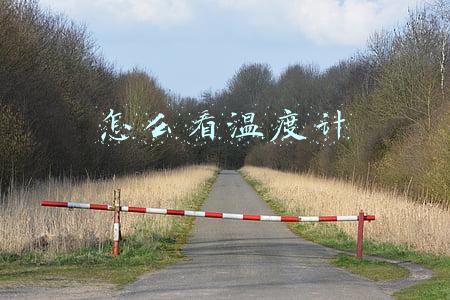 怎么看温度计