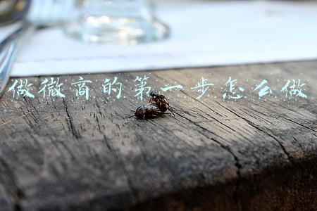 做微商的第一步怎么做怎么发朋友圈(微商新人从零开始发朋友圈的技巧)
