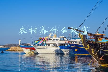 农村养殖什么赚钱最快(农村养殖：别养鸡鸭了，三个快速养殖项目都是暴利，你也行)