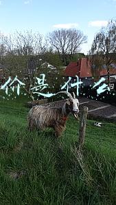 客单价是什么意思啊(客单价低于128元就被归入“低价人群”？淘宝回应……)