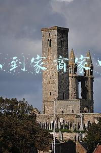 京东到家商家中心
