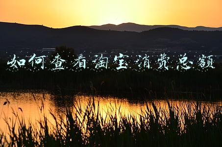 最新版本如何查看淘宝消费总额(《淘宝》消费总金额查看方法)