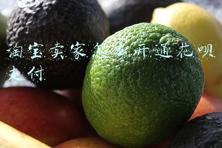淘宝卖家怎么开通花呗支付