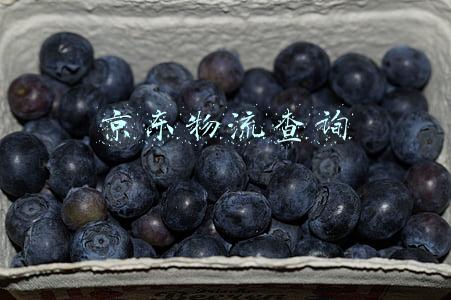 京东物流查询电话(“京小仓”专属客服热线正式上线，一键解决年关储物难题)