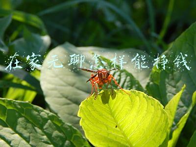 在家太无聊了,做个什么可以赚钱(推荐几个在家就能赚钱的副业)