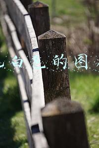 纯白色的图片背景(好看朋友圈背景图/白色系②)
