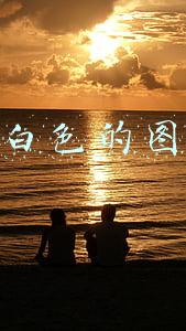 纯白色的图片