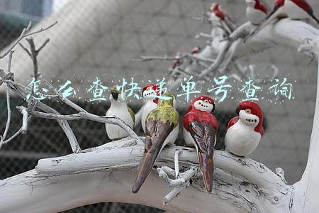 怎么查快递单号查询