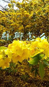 微信群聊怎么解散