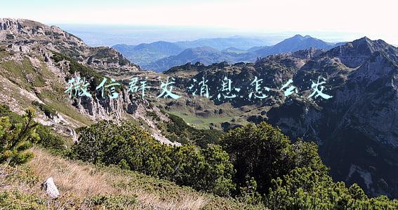 微信群发消息怎么发