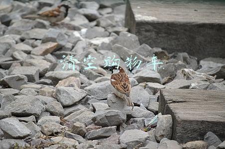清空购物车活动(淘宝清空购物车怎么玩？2020春晚淘宝清空购物车玩法攻略)