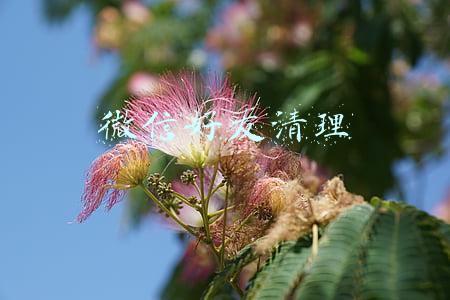 微信好友清理 微信好友清理