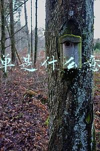 尾单是什么意思