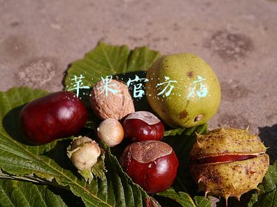 苹果官方店 苹果官方店