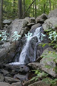 开个劳务中介挣钱吗