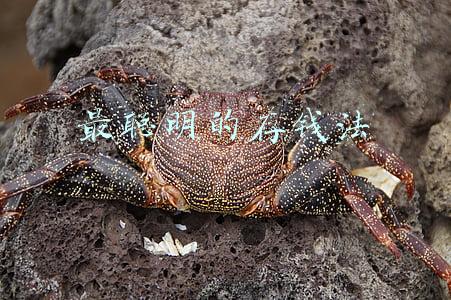 最聪明的存钱法