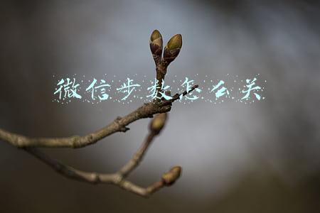 微信步数怎么关
