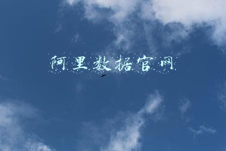 阿里数据官网