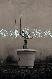 能赚钱游戏