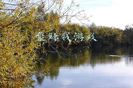 能赚钱游戏